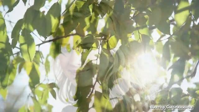 Виктор Дорин Ямочки на щёчках смотреть онлайн