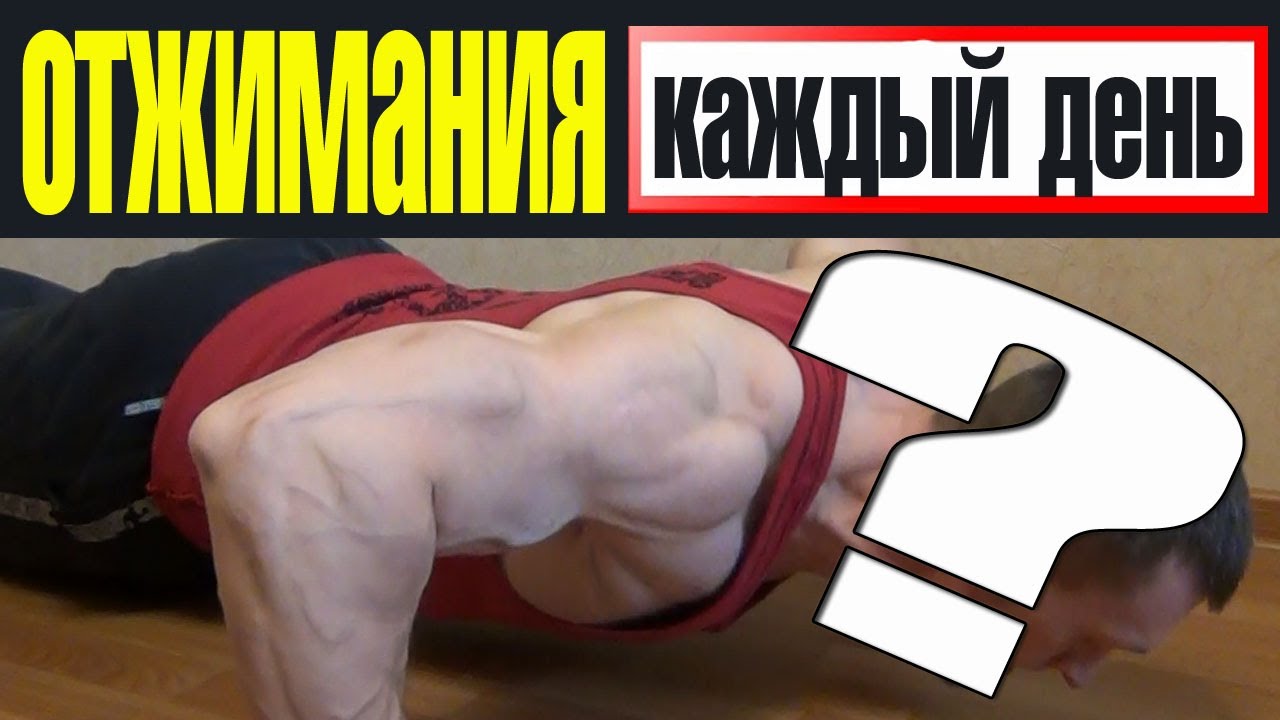Что будет если отжиматься каждый день.mp4 смотреть онлайн