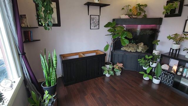 How To Style Your Space With House Plants : Style My Sunroom With Me | 75gal Aquarium Set Up смотреть онлайн