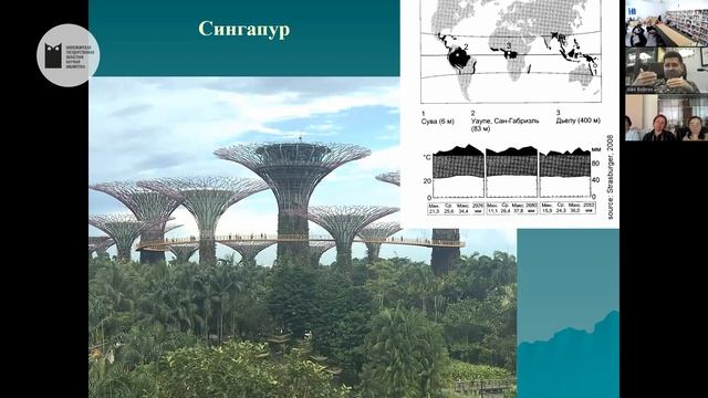 Фестиваль «ЧаЩа». В сумраке тропического леса. НГОНБ смотреть онлайн