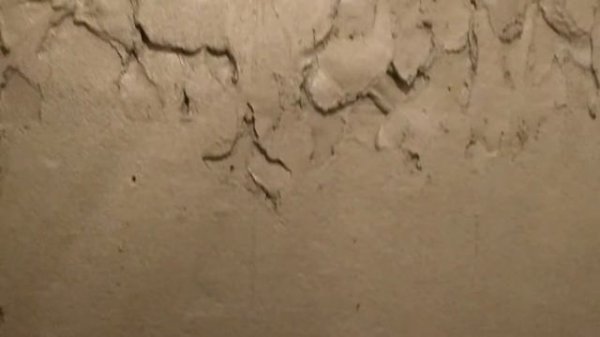 Vetonit tt-40 промежуточный итог