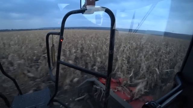 Уборка кукурудзи 2020.Нова жатка Capello. смотреть онлайн