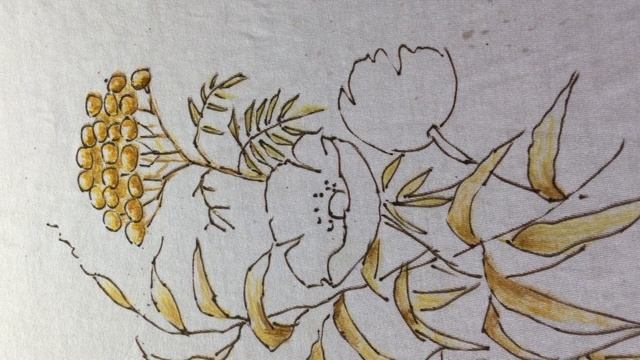 Рисуем цветы смотреть онлайн