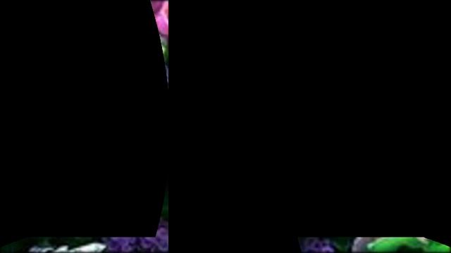 Самые красивые цветы для самых красивых смотреть онлайн