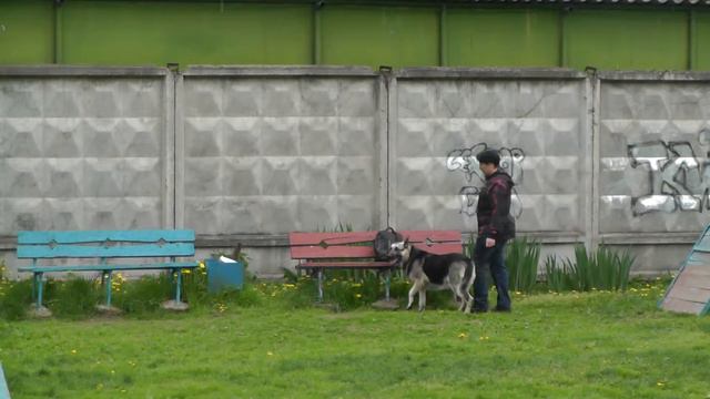 Чемпионат НКП ВЕО 2014