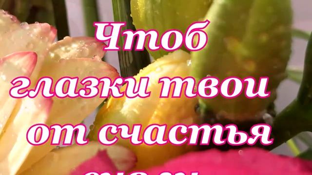 С Днем Рождения, Светлана! Поздравление с Днем Рождения для Светланы. смотреть онлайн