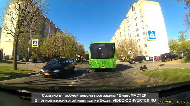 Порой собаки умнее людей смотреть онлайн