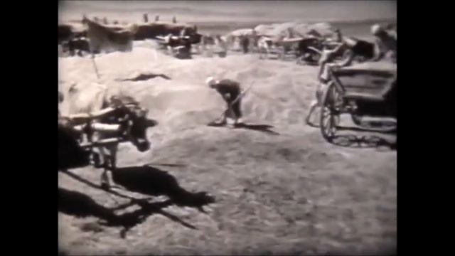 Поздравление с Днем Героев Отечества. смотреть онлайн