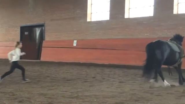 Вольтижировка. Первые шаги. смотреть онлайн