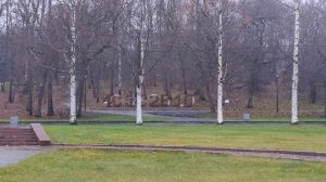 Экскурсия по Петрозаводску и карельские обычаи!