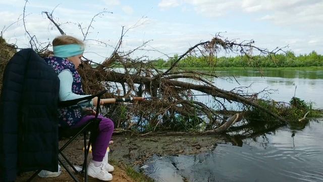 Рыбалка на Березине 2023. Ловля уклейки в июне смотреть онлайн