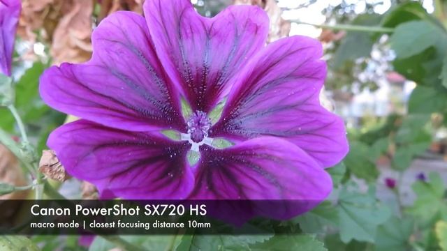 Canon PowerShot SX720 HS | hands on this MEGAZOOM | VLOGGING | TRAVEL camera | review in English смотреть онлайн