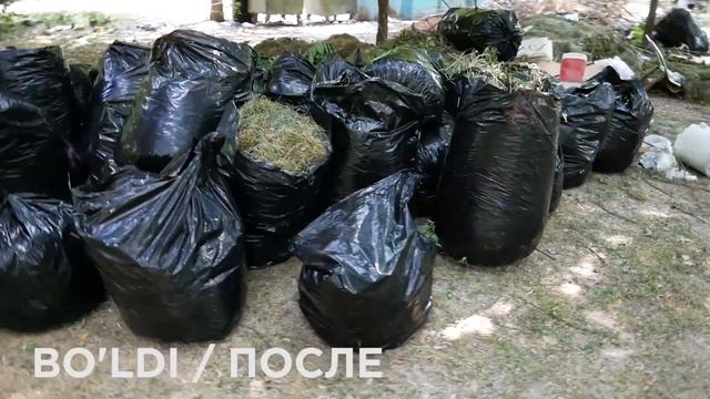 #OzodaYurtim Toshkent, O'zbekiston! Акция чистоты в Ташкенте. смотреть онлайн