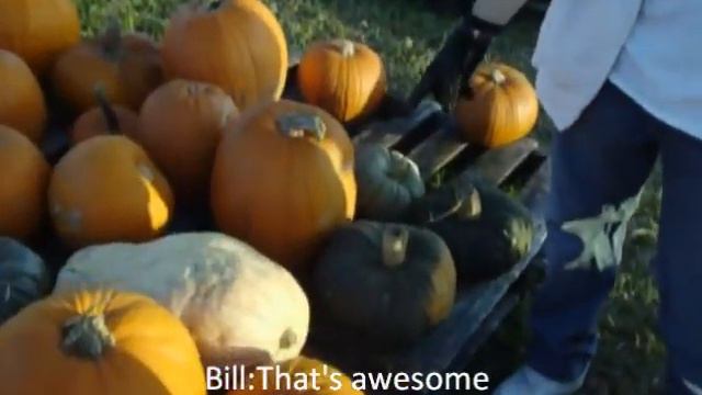 Halloween Adventures with Bill and Tom смотреть онлайн