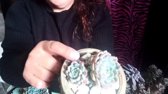 22 de noviembre de 2020 смотреть онлайн