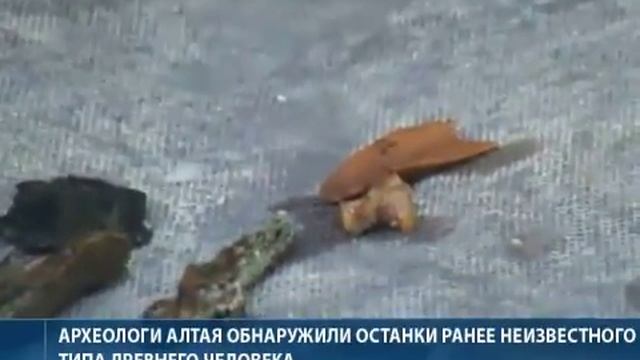 Находки в Денисовой пещере на Алтае смотреть онлайн