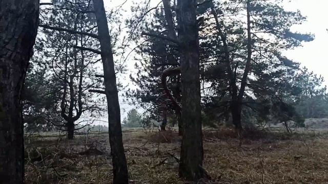 16 января народный праздник День Малахия. Что делать нельзя. Народные приметы и традиции. смотреть онлайн