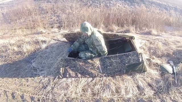 Охота на гуся! Пятёркой стреляем белолобого!!! смотреть онлайн