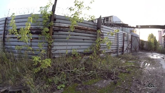 Электро - БЛОГ/ Один день на электропитбайке BUTCH смотреть онлайн