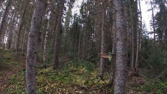 На рыбалку с баяном \ Часть 4 \ Из лета в осень смотреть онлайн