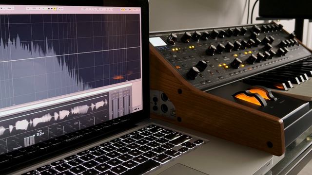 Emilio Rivera’s Synth Bass Preset Pack for the Moog Subsequent 37/Sub 37 смотреть онлайн