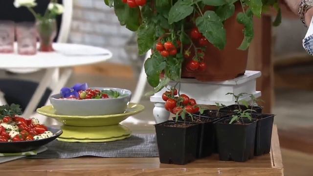 Hot Couture Live QVC Show смотреть онлайн