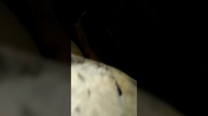 Рено Меган 1 заслонка забора воздуха