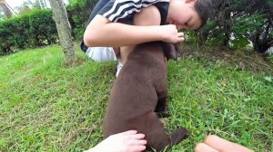 Мечта Софии сбылась! / KOREA/ VLOG/