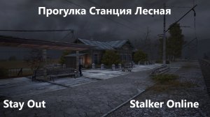 Stay Out\ Stalker Online. Станция Лесная . Прогулка