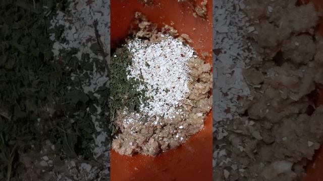 Завтрак для курочек#уточек#немчиков смотреть онлайн