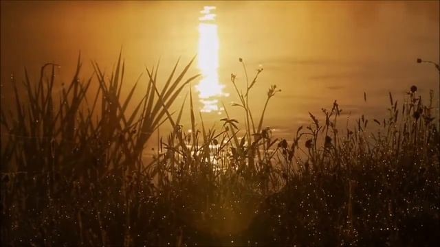 Стихотворение про лес и реку смотреть онлайн