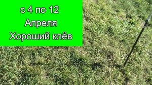 Календарь рыбака на Апрель Прогноз клева рыбы на Апрель Календарь клева Апрель 2022