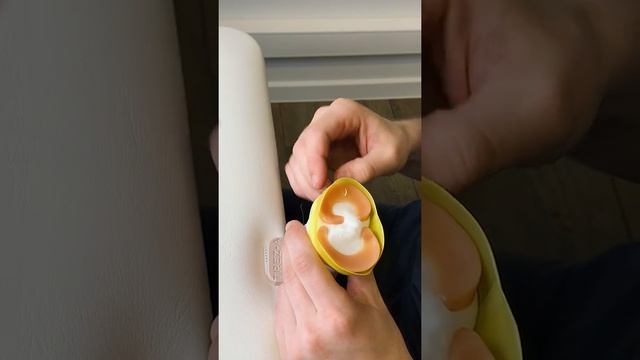 Анатомическая модель мениска