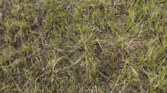 XP Deus | Металлоискатель Деус: Первые впечатления, настройки и мнение кладоискателя. смотреть онлайн