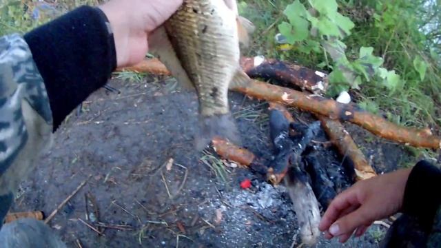 Ловля карася на донку. Рыбалка с ночевкой. Отдых на Волге. смотреть онлайн