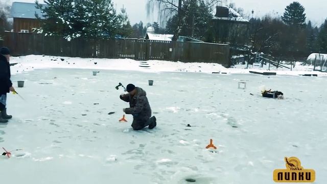 Рыболовный клуб ФИШКА ЛИПКИ! Активно ловим форель со льда! Репортаж с водоёма! смотреть онлайн