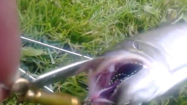 Мороз на мане ловля ЛЕНКА смотреть онлайн