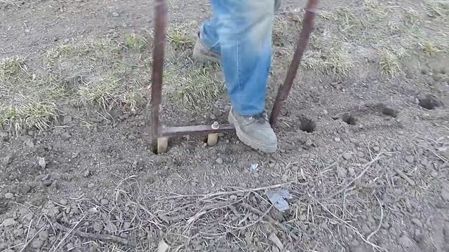 Посадка картофеля в садовую Теплую Грядку Розума смотреть онлайн