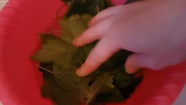 Чай из листьев смородины - натуральная и полезная задумка! Смородиновый чай смотреть онлайн
