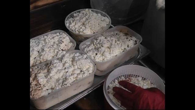 НА РАССВЕТЕ ПРОВОЖАЛИ МАЛЫША смотреть онлайн
