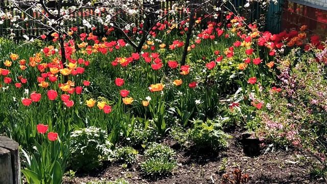 2 мая-день памяти Матроны Московской.Приметы дня смотреть онлайн