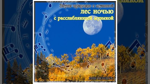 Звуки природы с музыкой: лес ночью с расслабляющей... смотреть онлайн