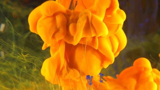 The Jedi 'Avadhuta' Gita - The Song of The Free Spirit