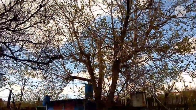 Прогулка до дачи и реки.#дача#май#река смотреть онлайн