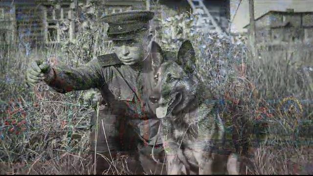 30 июля 1941г. бой собак с фашистами. смотреть онлайн