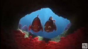 Finding Nemo full movie in English kids