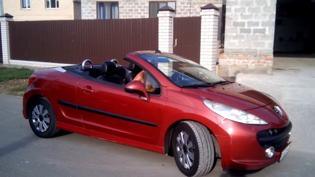 Мастерская Интересов