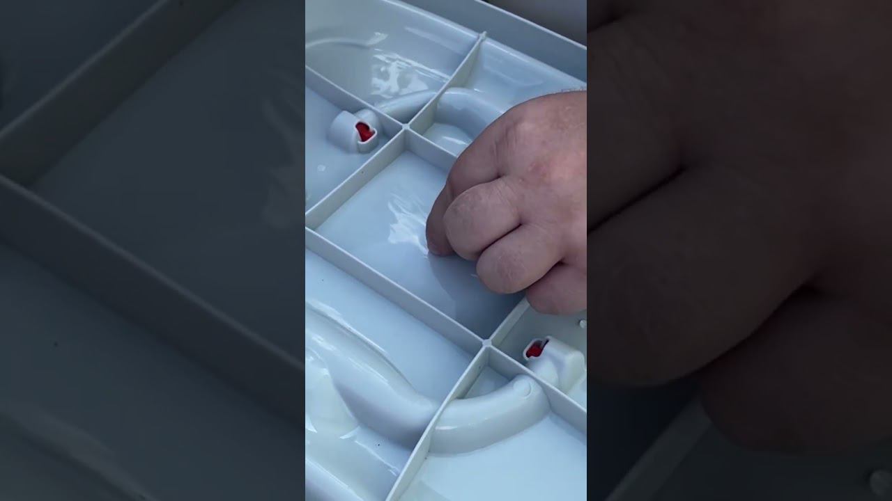 Проверка средства от клещей пошла не по плану