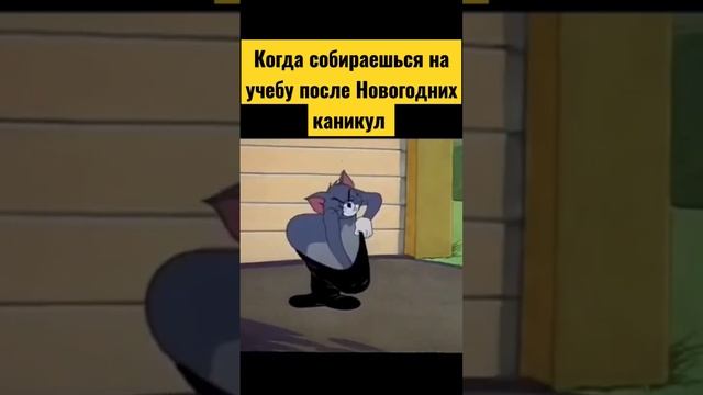 МЕМЫ ОТ GOODGOOSE НОВОГОДНИЕ КАНИКУЛЫ смотреть онлайн