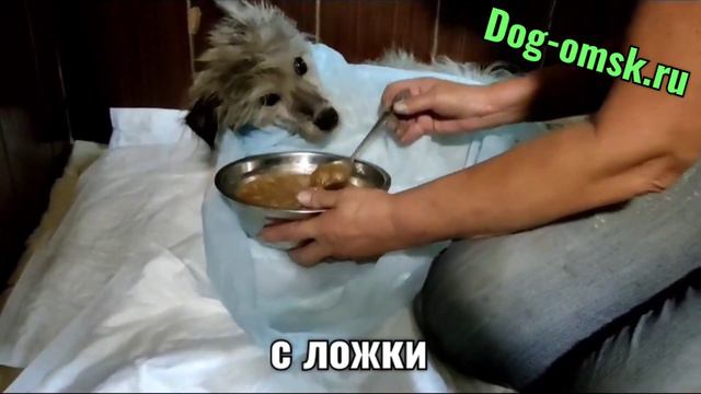 Инсульт это всегда серьёзно. ОСТА. смотреть онлайн